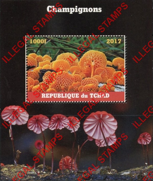 Chad 2017 Mushrooms Illegal Stamps in Souvenir Sheet of 1