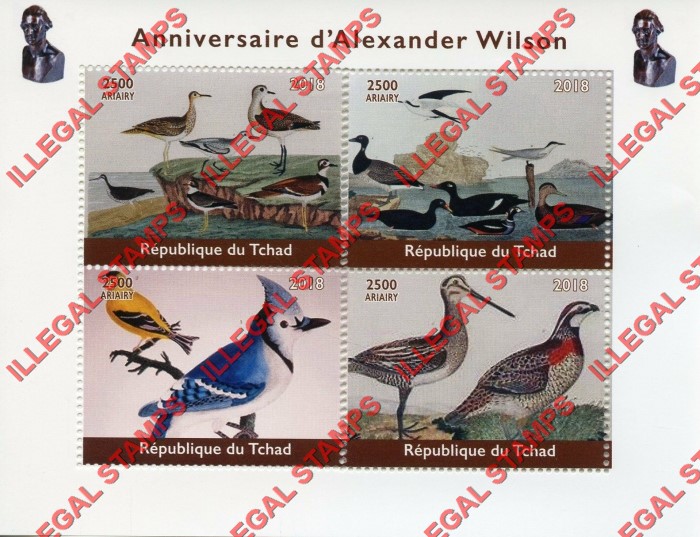 Chad 2018 Birds by Alexander Wilson Illegal Stamps in Souvenir Sheet of 1