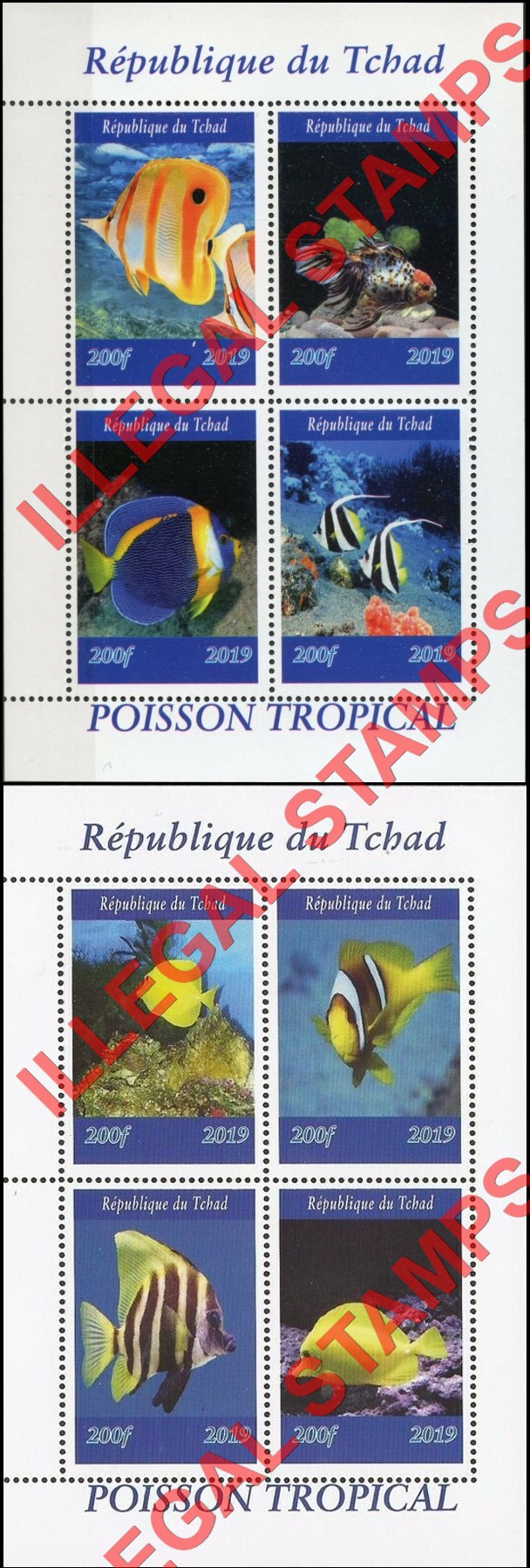Chad 2019 Fish Tropical Illegal Stamps in Souvenir Sheets of 4