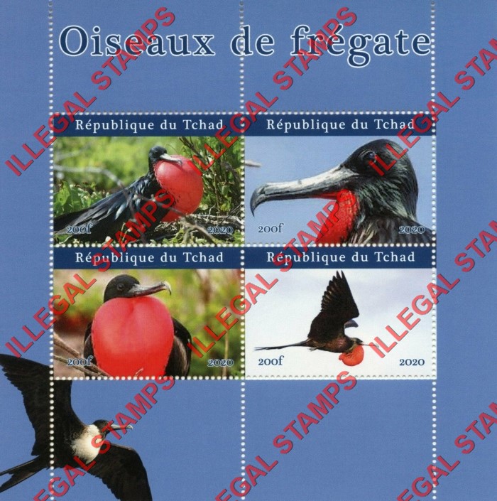 Chad 2020 Birds Frigatebirds Illegal Stamps in Souvenir Sheet of 4