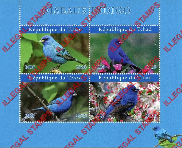 Chad 2020 Birds Indigo Illegal Stamps in Souvenir Sheet of 4