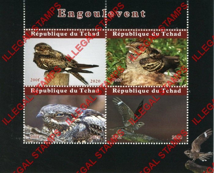 Chad 2020 Birds Nightjars Illegal Stamps in Souvenir Sheet of 4