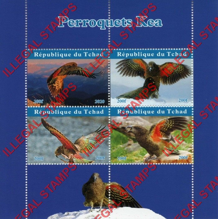 Chad 2020 Birds Parrots Kea Parrot Illegal Stamps in Souvenir Sheet of 4