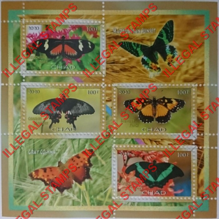 Chad 2020 Butterflies (different) Illegal Stamps in Souvenir Sheet of 4