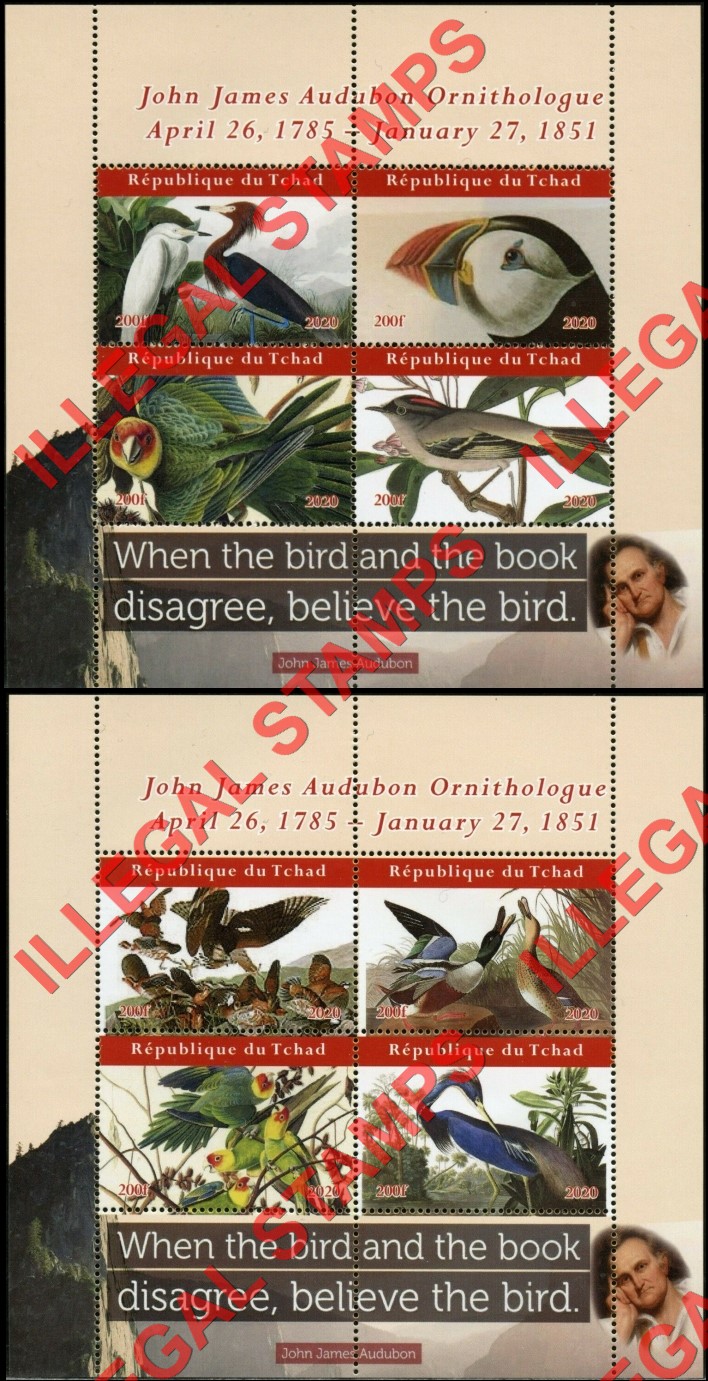 Chad 2020 John James Audubon Birds Illegal Stamps in Souvenir Sheets of 4