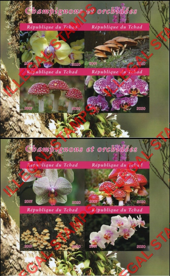 Chad 2020 Mushrooms and Orchids Illegal Stamps in Souvenir Sheets of 4