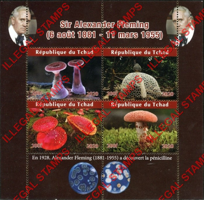 Chad 2020 Mushrooms Sir Alexander Fleming Illegal Stamps in Souvenir Sheet of 4