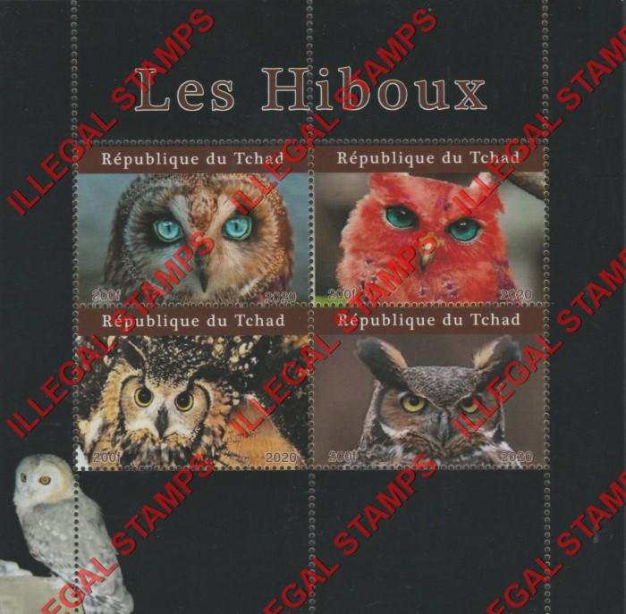 Chad 2020 Owls Illegal Stamps in Souvenir Sheet of 4