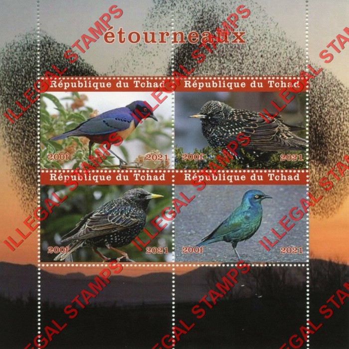 Chad 2021 Birds Starlings Illegal Stamps in Souvenir Sheet of 4