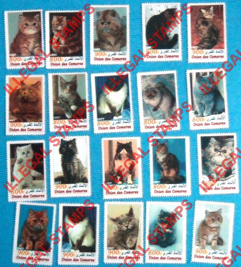 Comoro Islands 2007 Cats Counterfeit Illegal Stamp Set