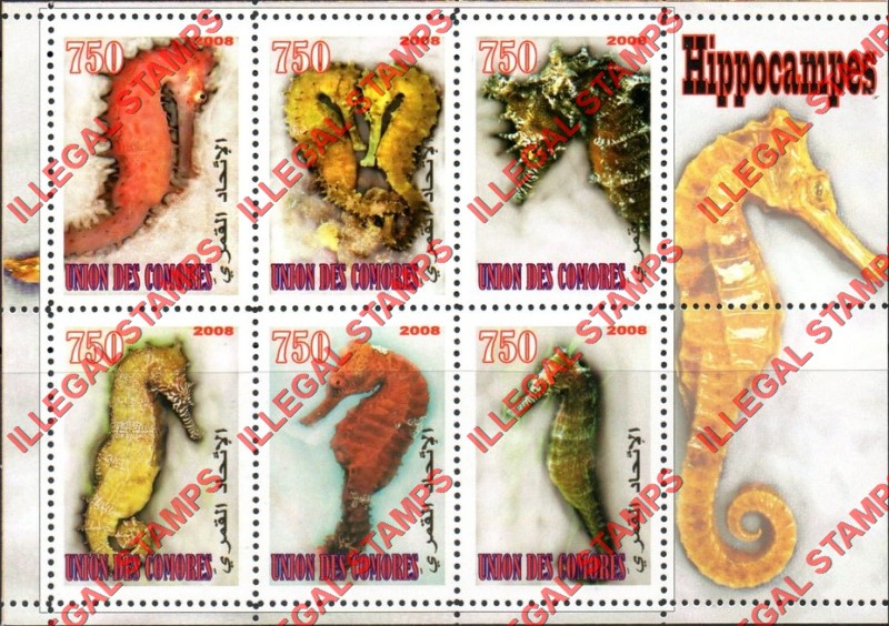 Comoro Islands 2008 Seahorses Counterfeit Illegal Stamp Souvenir Sheet of 6