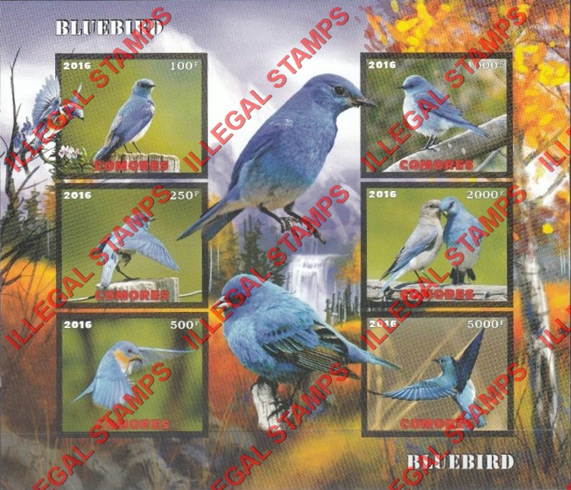 Comoro Islands 2016 Birds Bluebirds Counterfeit Illegal Stamp Souvenir Sheet of 6