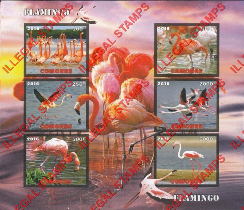 Comoro Islands 2016 Birds Flamingos Counterfeit Illegal Stamp Souvenir Sheet of 6
