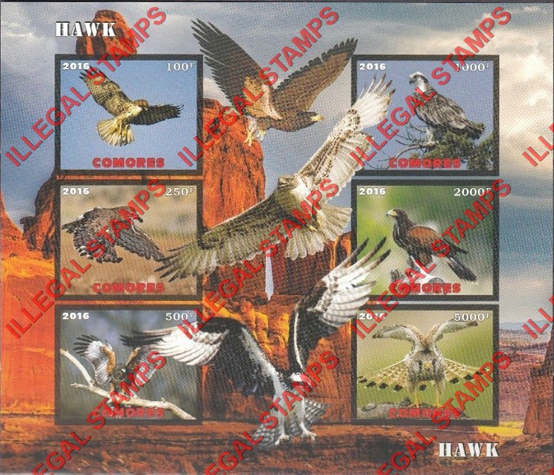 Comoro Islands 2016 Birds Hawks Counterfeit Illegal Stamp Souvenir Sheet of 6