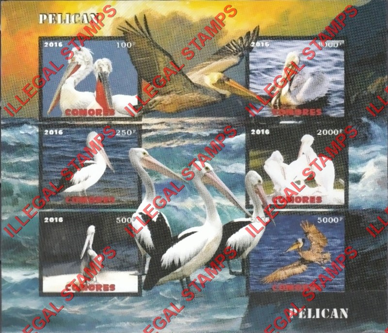 Comoro Islands 2016 Birds Pelicans Counterfeit Illegal Stamp Souvenir Sheet of 6