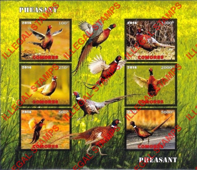 Comoro Islands 2016 Birds Pheasants Counterfeit Illegal Stamp Souvenir Sheet of 6