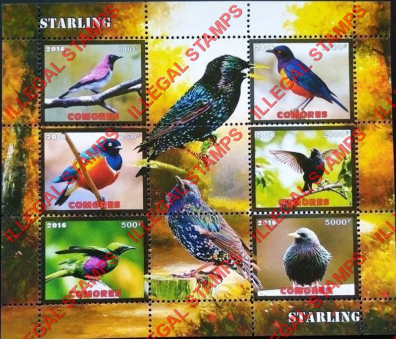 Comoro Islands 2016 Birds Starlings Counterfeit Illegal Stamp Souvenir Sheet of 6