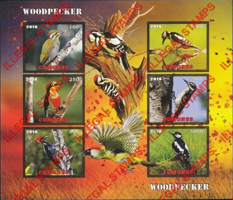 Comoro Islands 2016 Birds Woodpeckers Counterfeit Illegal Stamp Souvenir Sheet of 6