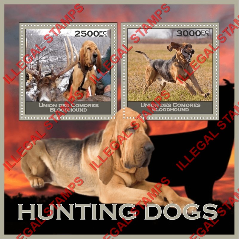 Comoro Islands 2016 Dogs Bloodhound  Hunting Dogs Counterfeit Illegal Stamp Souvenir Sheet of 2