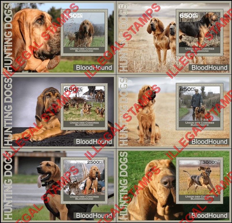 Comoro Islands 2016 Dogs Bloodhound  Hunting Dogs Counterfeit Illegal Stamp Souvenir Sheets of 1
