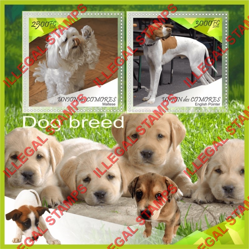 Comoro Islands 2016 Dogs (different) Counterfeit Illegal Stamp Souvenir Sheet of 2