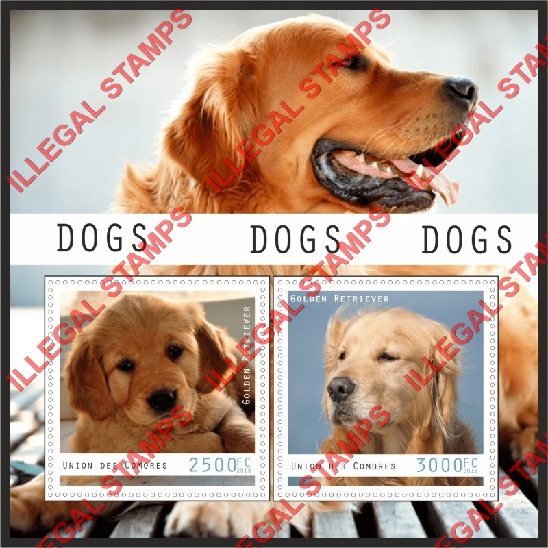 Comoro Islands 2016 Dogs Golden Retriever Counterfeit Illegal Stamp Souvenir Sheet of 2