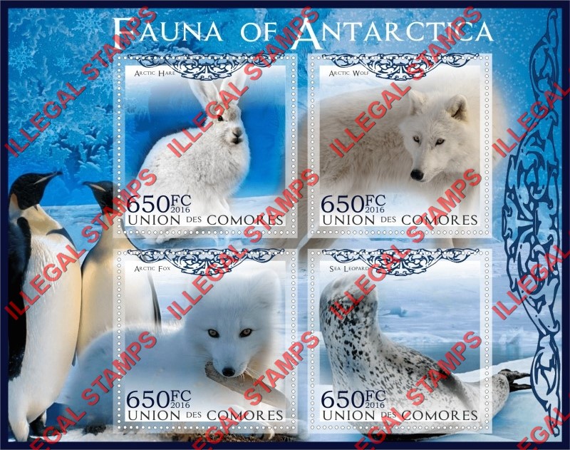 Comoro Islands 2016 Fauna of Antarctica Counterfeit Illegal Stamp Souvenir Sheet of 4