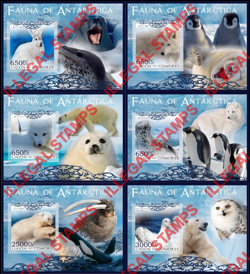 Comoro Islands 2016 Fauna of Antarctica Counterfeit Illegal Stamp Souvenir Sheets of 1
