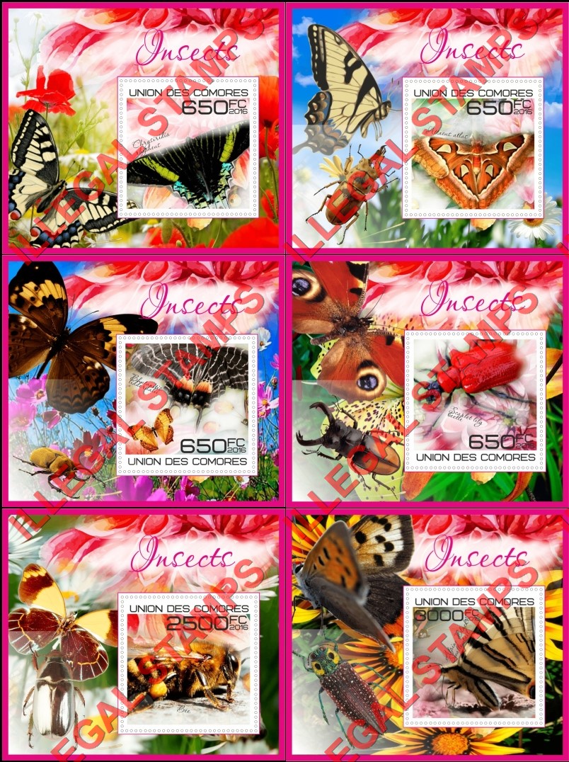 Comoro Islands 2016 Insects Counterfeit Illegal Stamp Souvenir Sheets of 1