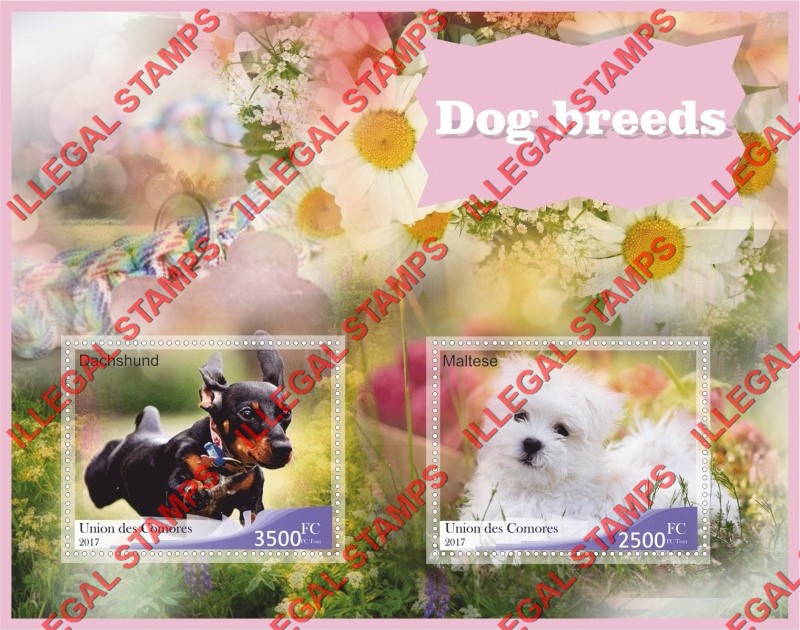 Comoro Islands 2017 Dogs Counterfeit Illegal Stamp Souvenir Sheet of 2