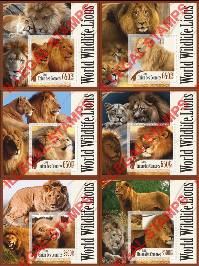 Comoro Islands 2017 Lions World Wildlife Counterfeit Illegal Stamp Souvenir Sheets of 1