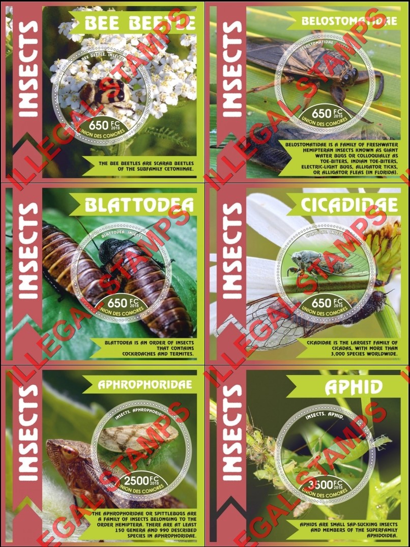 Comoro Islands 2018 Insects Counterfeit Illegal Stamp Souvenir Sheets of 1
