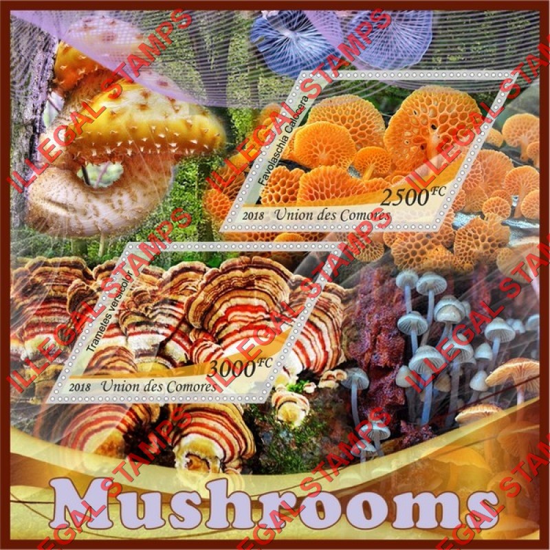 Comoro Islands 2018 Mushrooms (different b) Counterfeit Illegal Stamp Souvenir Sheet of 2