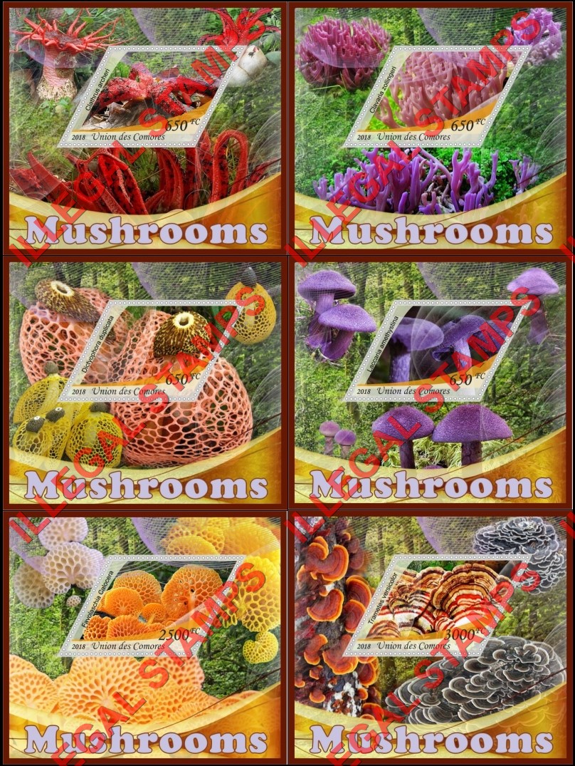 Comoro Islands 2018 Mushrooms (different b) Counterfeit Illegal Stamp Souvenir Sheets of 1