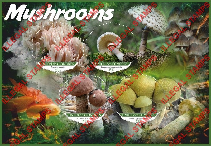 Comoro Islands 2018 Mushrooms (different) Counterfeit Illegal Stamp Souvenir Sheet of 4