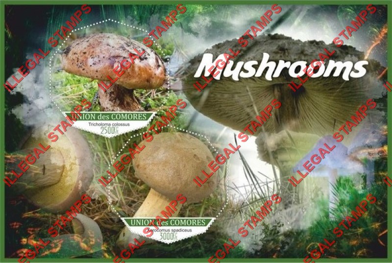 Comoro Islands 2018 Mushrooms (different) Counterfeit Illegal Stamp Souvenir Sheet of 2