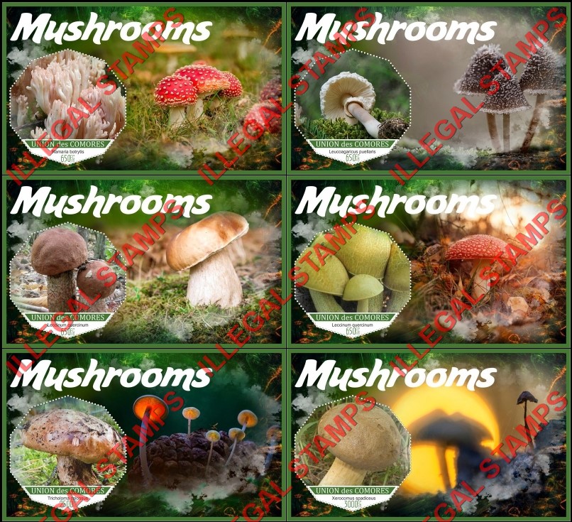 Comoro Islands 2018 Mushrooms (different) Counterfeit Illegal Stamp Souvenir Sheets of 1