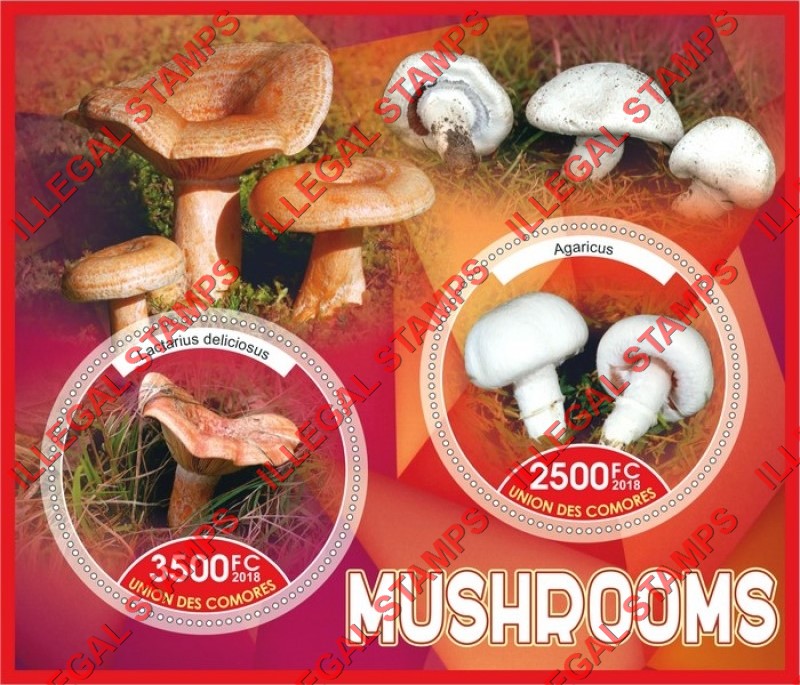 Comoro Islands 2018 Mushrooms Counterfeit Illegal Stamp Souvenir Sheet of 2