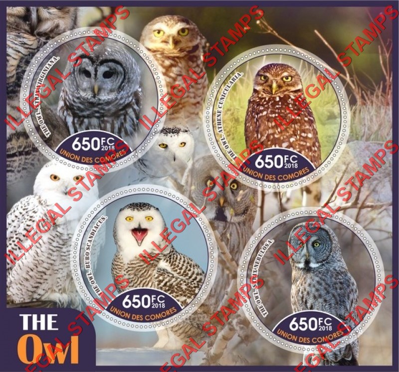Comoro Islands 2018 Owls Counterfeit Illegal Stamp Souvenir Sheet of 4