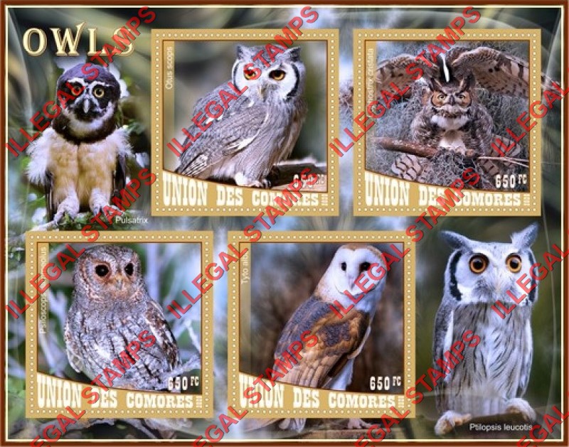 Comoro Islands 2020 Owls Counterfeit Illegal Stamp Souvenir Sheet of 4