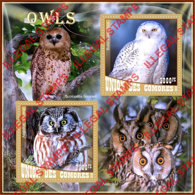 Comoro Islands 2020 Owls Counterfeit Illegal Stamp Souvenir Sheet of 2