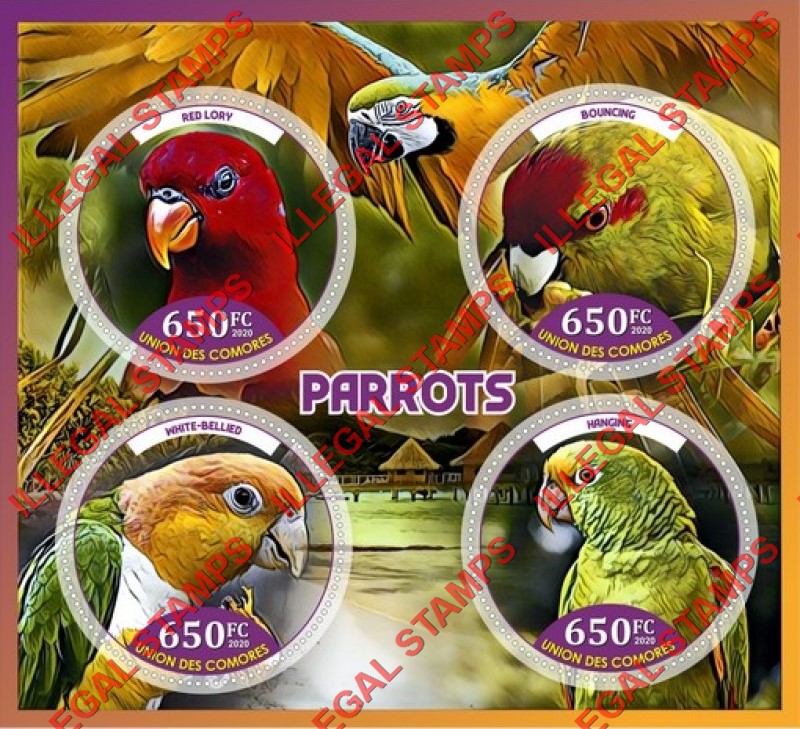 Comoro Islands 2020 Parrots Counterfeit Illegal Stamp Souvenir Sheet of 4