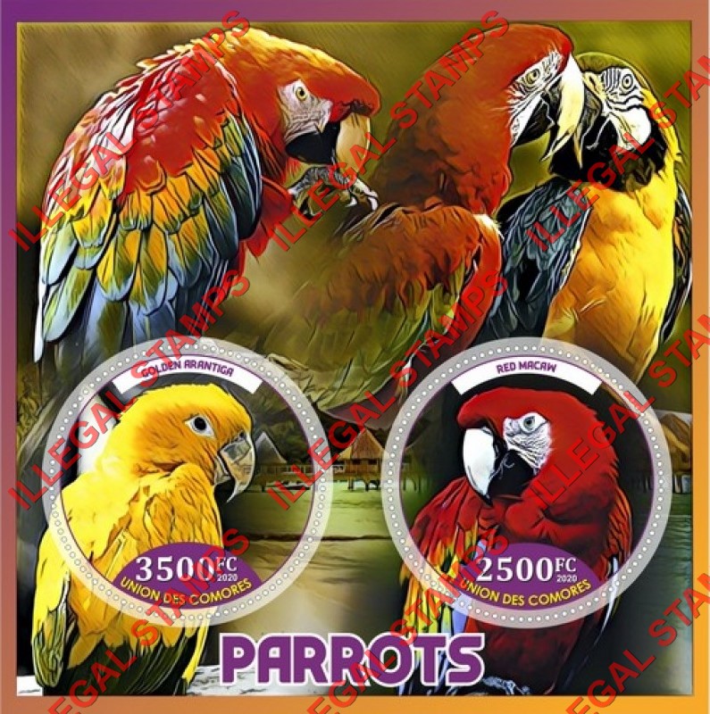 Comoro Islands 2020 Parrots Counterfeit Illegal Stamp Souvenir Sheet of 2