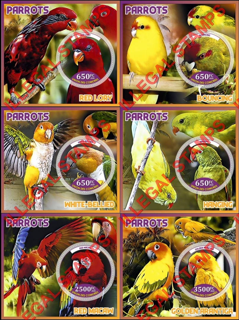 Comoro Islands 2020 Parrots Counterfeit Illegal Stamp Souvenir Sheets of 1