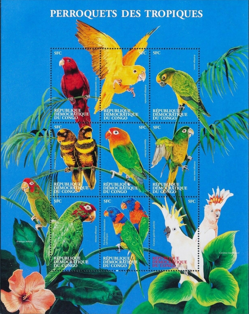 Congo Democratic Republic 2000 Birds Parrots Sheet of 9 Scott Number 1537