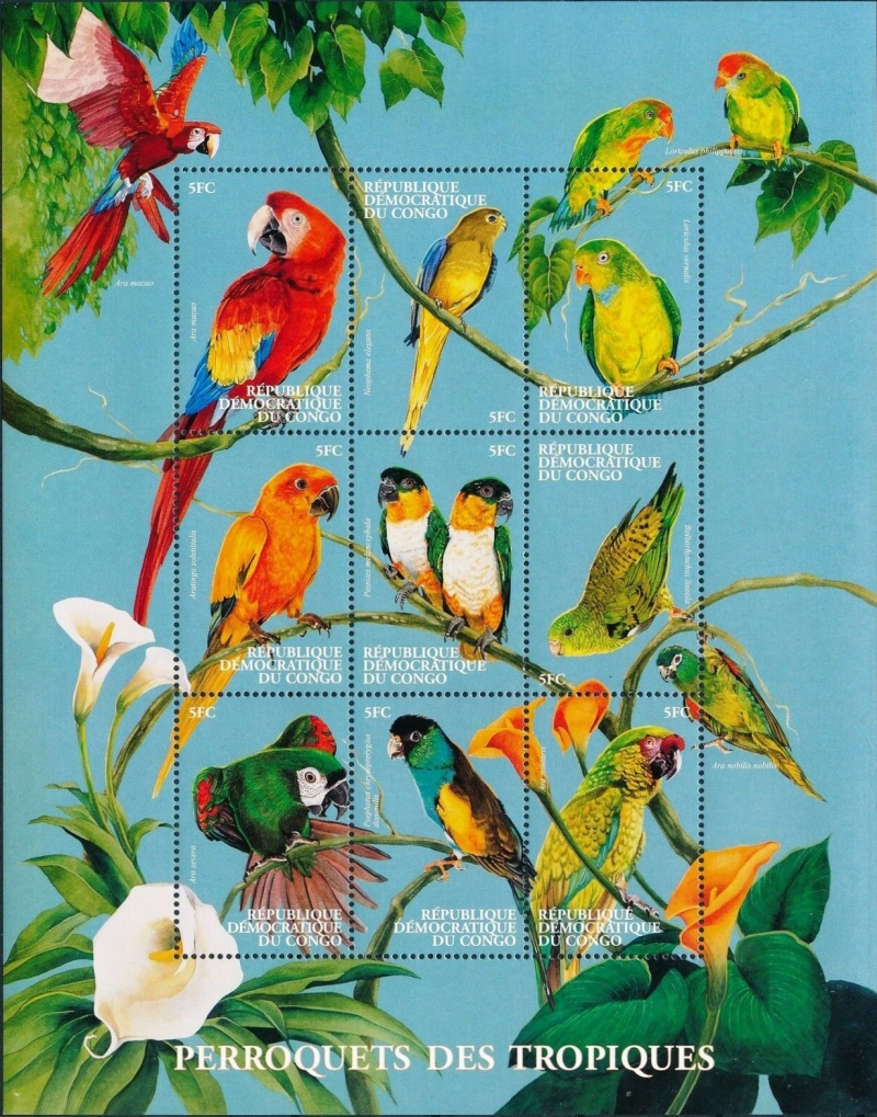 Congo Democratic Republic 2000 Birds Parrots Sheet of 9 Scott Number 1538