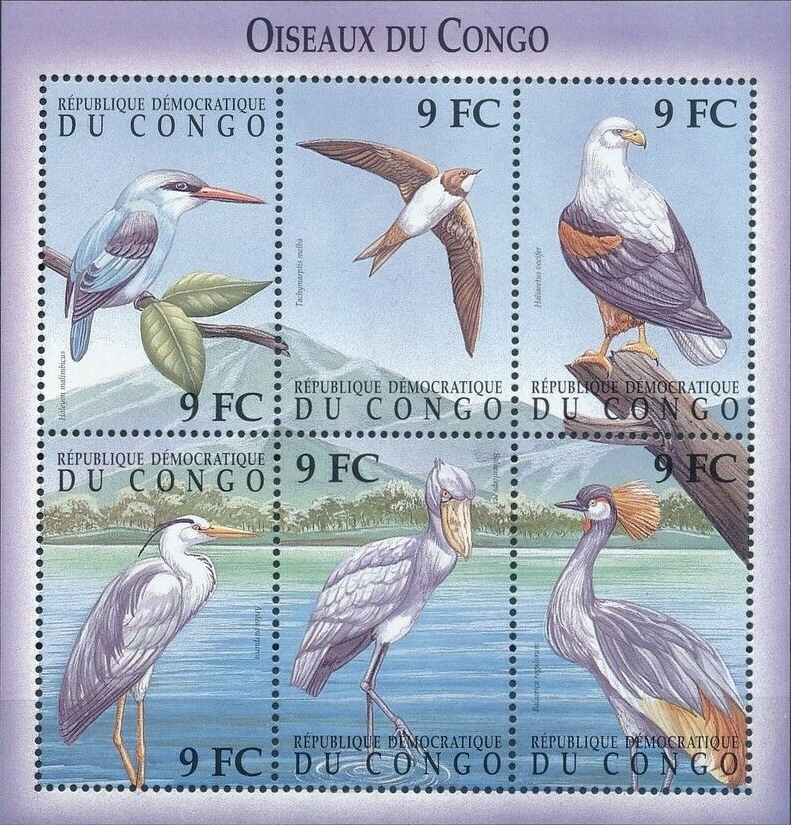 Congo Democratic Republic 2000 Birds Sheet of 6 Scott Number 1535