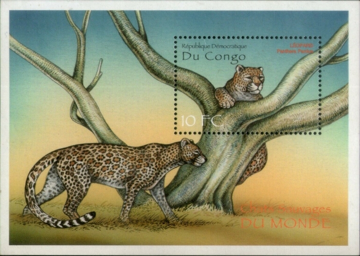 Congo Democratic Republic 2000 Wild Cats of the World Souvenir Sheet of 1 Scott Number 1519