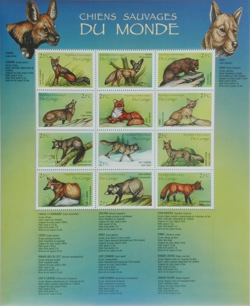 Congo Democratic Republic 2000 Wild Dogs of the World Souvenir Sheet of 12 Scott Number 1518