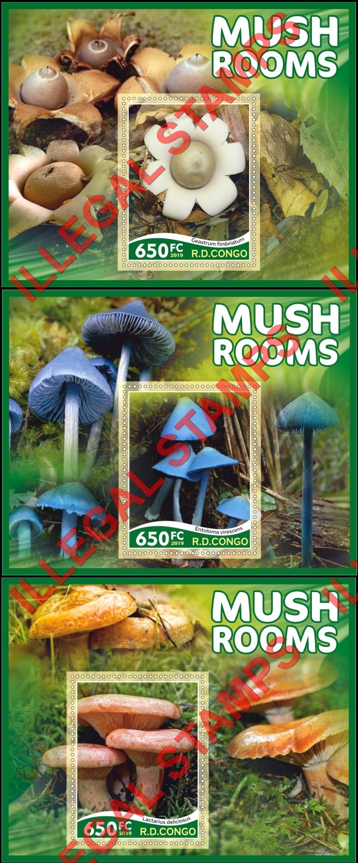 Congo Democratic Republic 2019 Mushrooms Illegal Stamp Souvenir Sheets of 1 (Part 1)